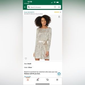 Womens BB Dakota x Steve Madden Say So Dress in Silver